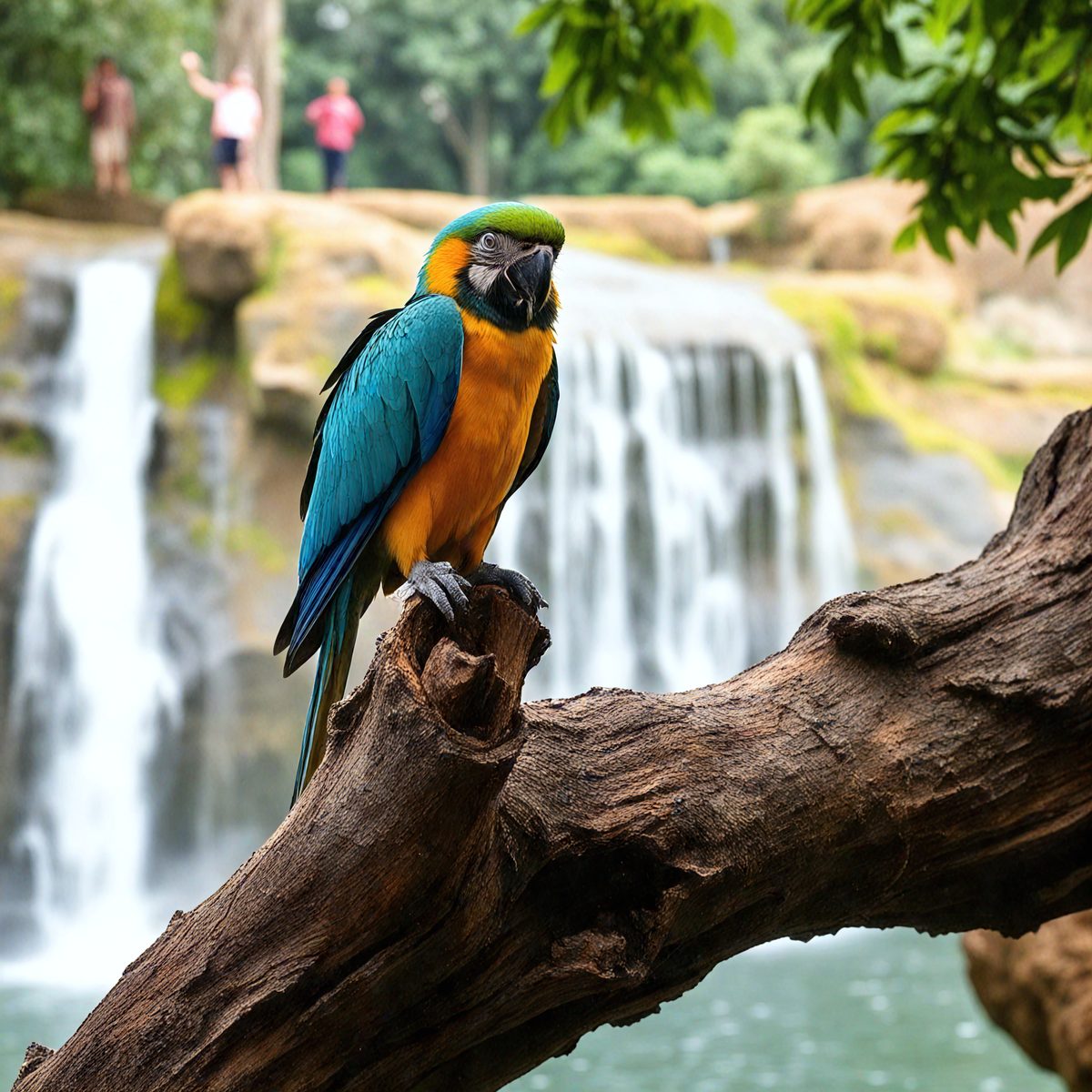 0f37e3e8-2352-4392-bb18-72161c4e1a18-a-parrot-sitting-on-a-tree-trunk-on-rose-island-with- (9)_00002__result.jpg